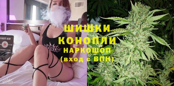 мдпв Снежинск
