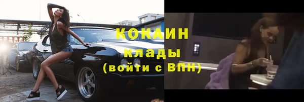гидра Арсеньев