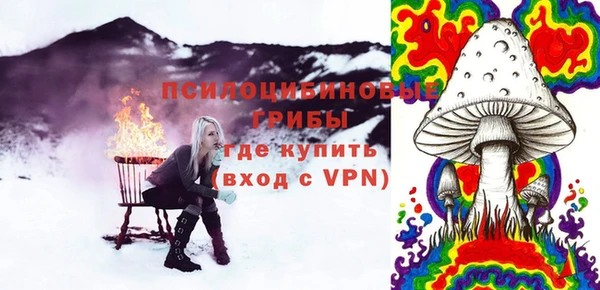 гидра Арсеньев