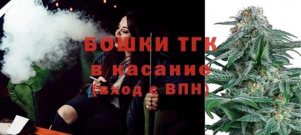 гидра Арсеньев