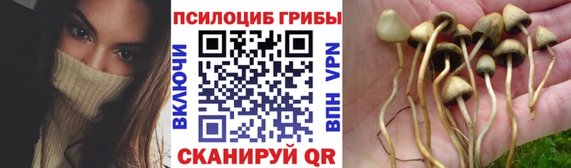 что такое   Удачный  Галлюциногенные грибы ЛСД 